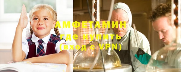 твердый Аркадак