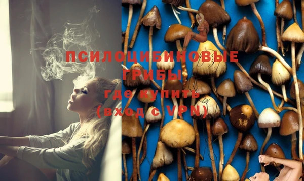 тгк Арсеньев