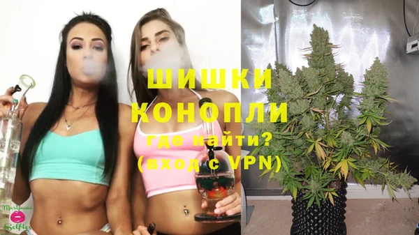 тгк Арсеньев