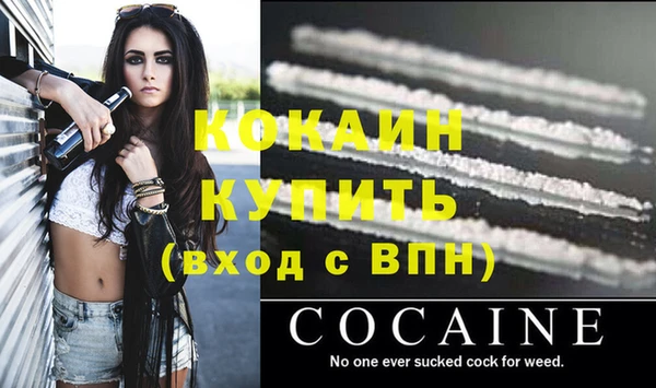 твердый Аркадак