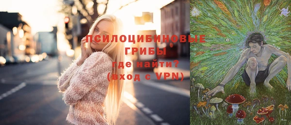 твердый Аркадак
