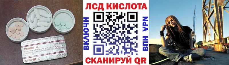дарнет шоп  Полесск  LSD-25 экстази кислота 
