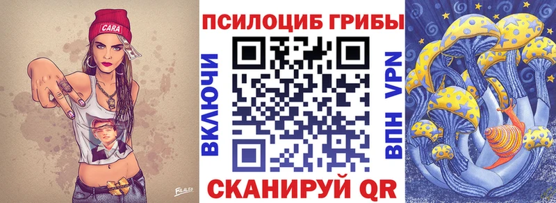 наркотики  Полесск  Псилоцибиновые грибы GOLDEN TEACHER 