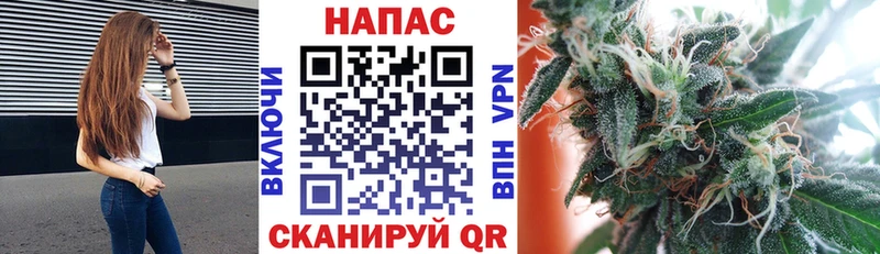где купить   Полесск  Шишки марихуана AK-47 